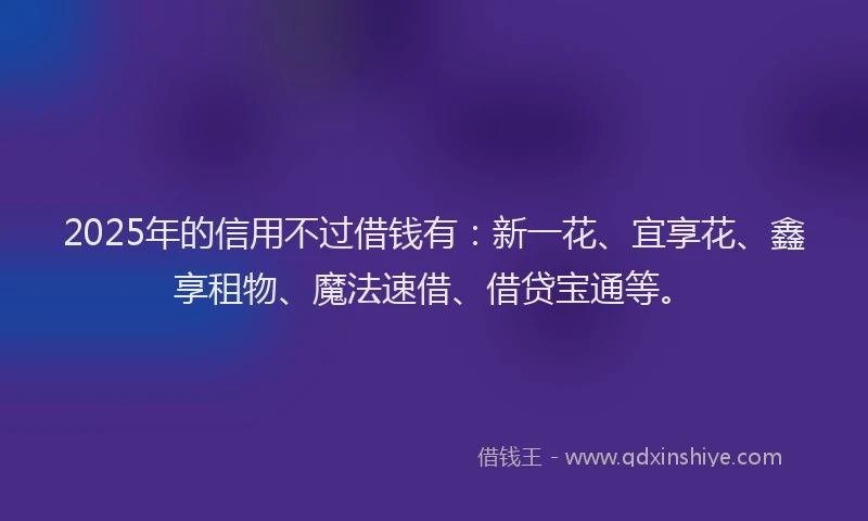 2025年的信用不过借钱有：新一花、宜享花、鑫享租物、魔法速借、借贷宝通等。