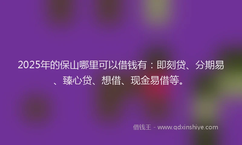 2025年的保山哪里可以借钱有：即刻贷、分期易、臻心贷、想借、现金易借等。
