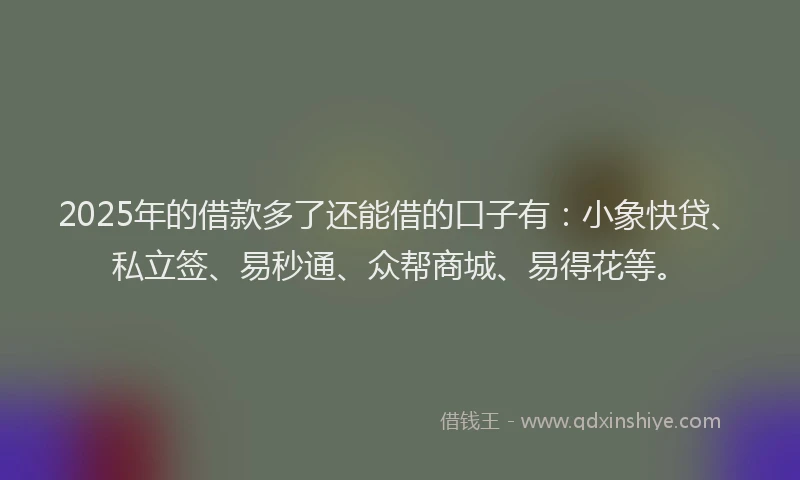 2025年的借款多了还能借的口子有：小象快贷、私立签、易秒通、众帮商城、易得花等。