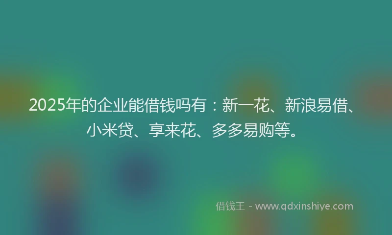 2025年的企业能借钱吗有：新一花、新浪易借、小米贷、享来花、多多易购等。