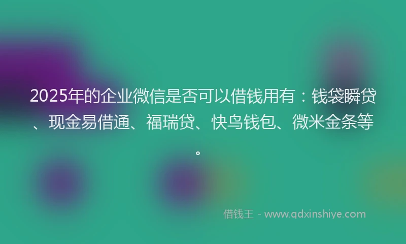2025年的企业微信是否可以借钱用有：钱袋瞬贷、现金易借通、福瑞贷、快鸟钱包、微米金条等。