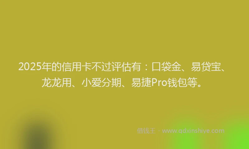 2025年的信用卡不过评估有：口袋金、易贷宝、龙龙用、小爱分期、易捷Pro钱包等。