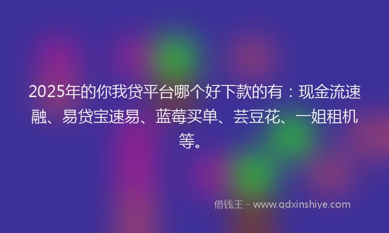 2025年的你我贷平台哪个好下款的有：现金流速融、易贷宝速易、蓝莓买单、芸豆花、一姐租机等。
