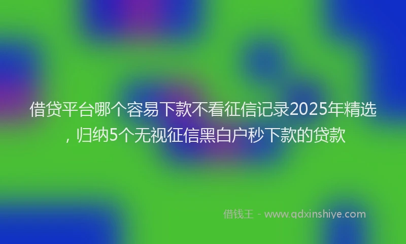 借贷平台哪个容易下款不看征信记录2025年精选，归纳5个无视征信黑白户秒下款的贷款