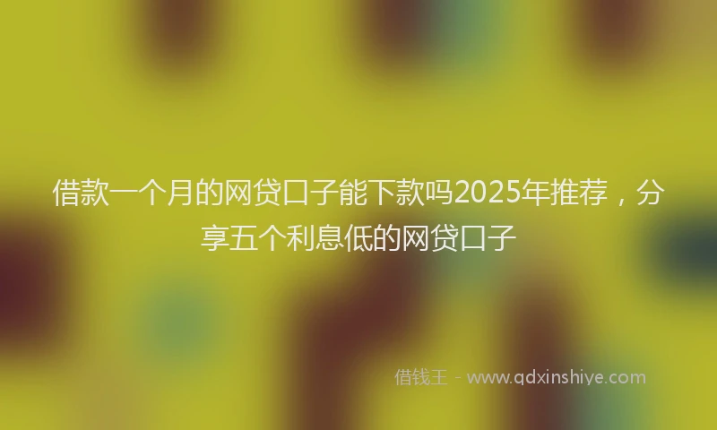借款一个月的网贷口子能下款吗2025年推荐，分享五个利息低的网贷口子