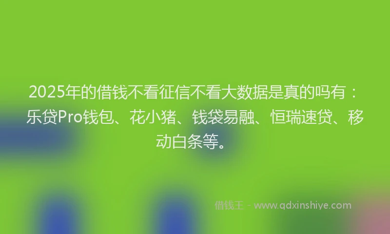2025年的借钱不看征信不看大数据是真的吗有：乐贷Pro钱包、花小猪、钱袋易融、恒瑞速贷、移动白条等。