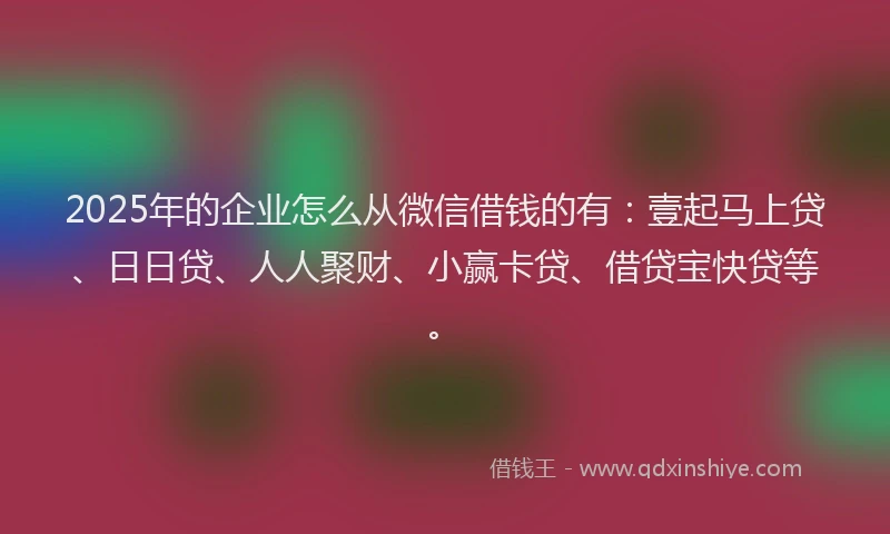 2025年的企业怎么从微信借钱的有：壹起马上贷、日日贷、人人聚财、小赢卡贷、借贷宝快贷等。
