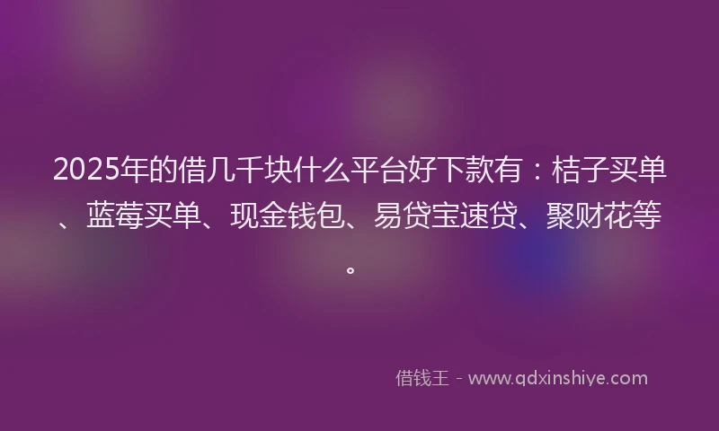 2025年的借几千块什么平台好下款有：桔子买单、蓝莓买单、现金钱包、易贷宝速贷、聚财花等。