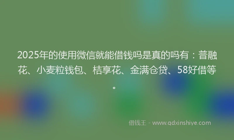 2025年的使用微信就能借钱吗是真的吗有：普融花、小麦粒钱包、桔享花、金满仓贷、58好借等。