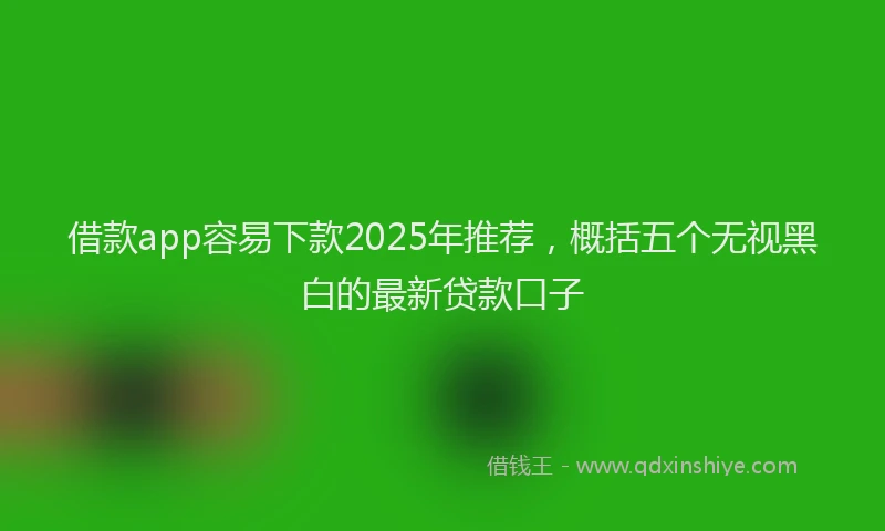 借款app容易下款2025年推荐，概括五个无视黑白的最新贷款口子