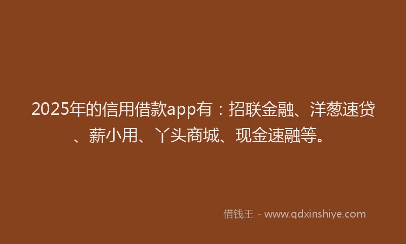 2025年的信用借款app有：招联金融、洋葱速贷、薪小用、丫头商城、现金速融等。