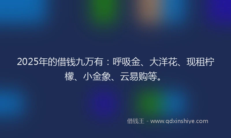 2025年的借钱九万有：呼吸金、大洋花、现租柠檬、小金象、云易购等。