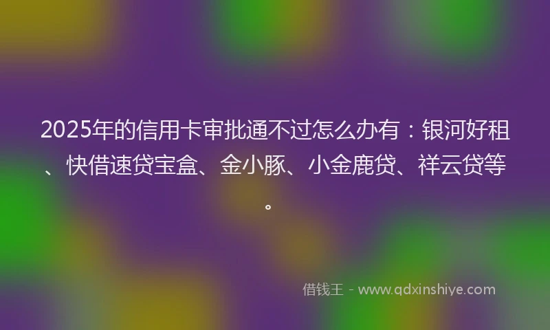 2025年的信用卡审批通不过怎么办有：银河好租、快借速贷宝盒、金小豚、小金鹿贷、祥云贷等。