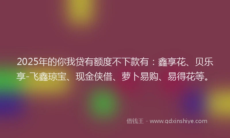 2025年的你我贷有额度不下款有：鑫享花、贝乐享-飞鑫琼宝、现金侠借、萝卜易购、易得花等。