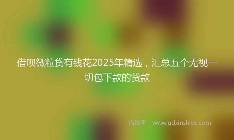 借呗微粒贷有钱花2025年精选，汇总五个无视一切包下款的贷款