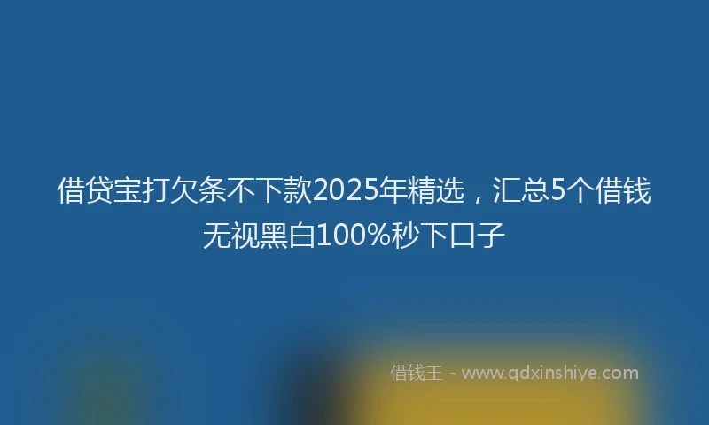 借贷宝打欠条不下款2025年精选，汇总5个借钱无视黑白100%秒下口子