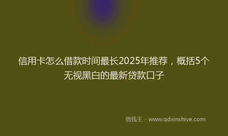 信用卡怎么借款时间最长2025年推荐，概括5个无视黑白的最新贷款口子