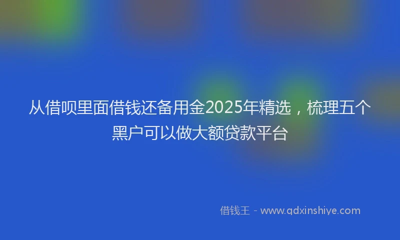 从借呗里面借钱还备用金2025年精选，梳理五个黑户可以做大额贷款平台