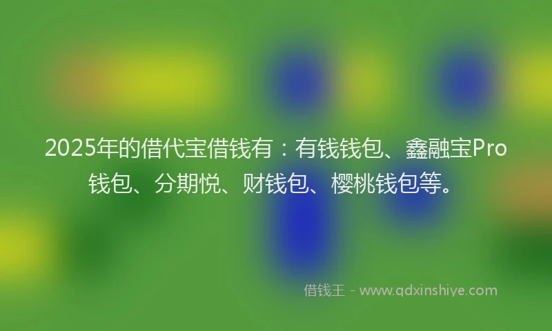 2025年的借代宝借钱有：有钱钱包、鑫融宝Pro钱包、分期悦、财钱包、樱桃钱包等。