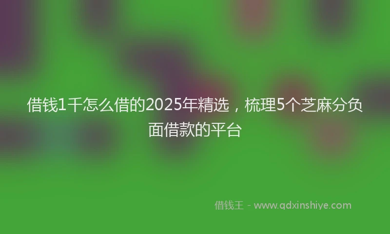 借钱1千怎么借的2025年精选，梳理5个芝麻分负面借款的平台