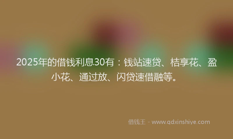 2025年的借钱利息30有：钱站速贷、桔享花、盈小花、通过放、闪贷速借融等。