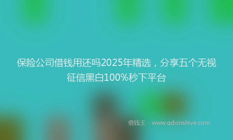 保险公司借钱用还吗2025年精选，分享五个无视征信黑白100%秒下平台