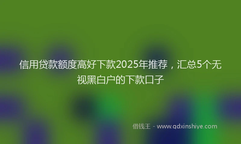 信用贷款额度高好下款2025年推荐，汇总5个无视黑白户的下款口子