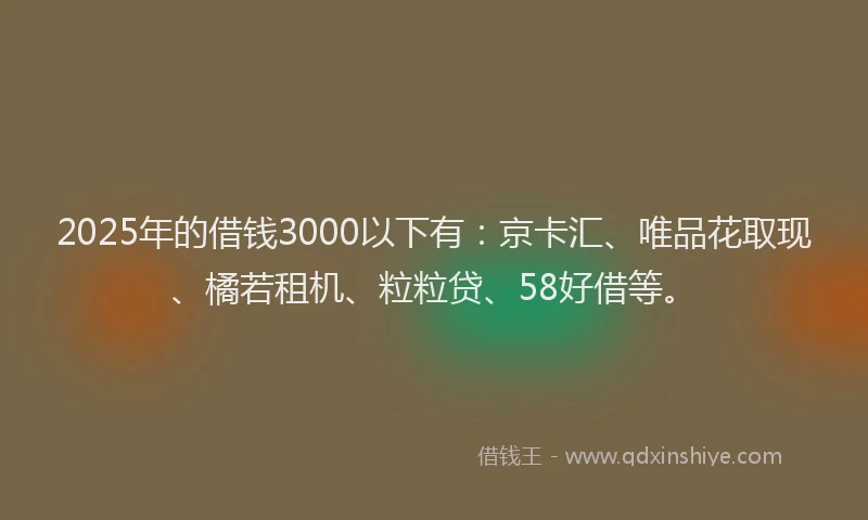 2025年的借钱3000以下有：京卡汇、唯品花取现、橘若租机、粒粒贷、58好借等。