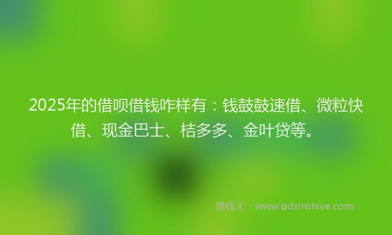 2025年的借呗借钱咋样有：钱鼓鼓速借、微粒快借、现金巴士、桔多多、金叶贷等。