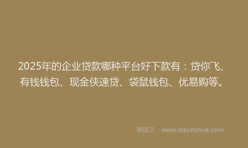 2025年的企业贷款哪种平台好下款有：贷你飞、有钱钱包、现金侠速贷、袋鼠钱包、优易购等。