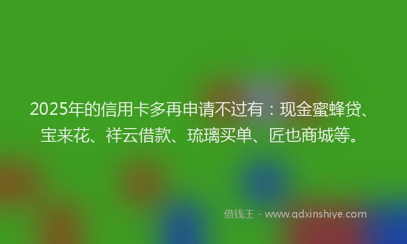 2025年的信用卡多再申请不过有：现金蜜蜂贷、宝来花、祥云借款、琉璃买单、匠也商城等。