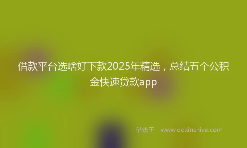 借款平台选啥好下款2025年精选，总结五个公积金快速贷款app