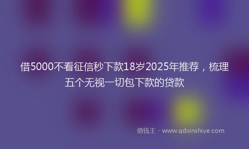 借5000不看征信秒下款18岁2025年推荐，梳理五个无视一切包下款的贷款