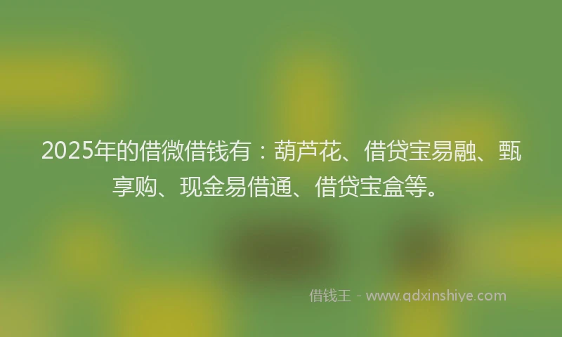 2025年的借微借钱有：葫芦花、借贷宝易融、甄享购、现金易借通、借贷宝盒等。