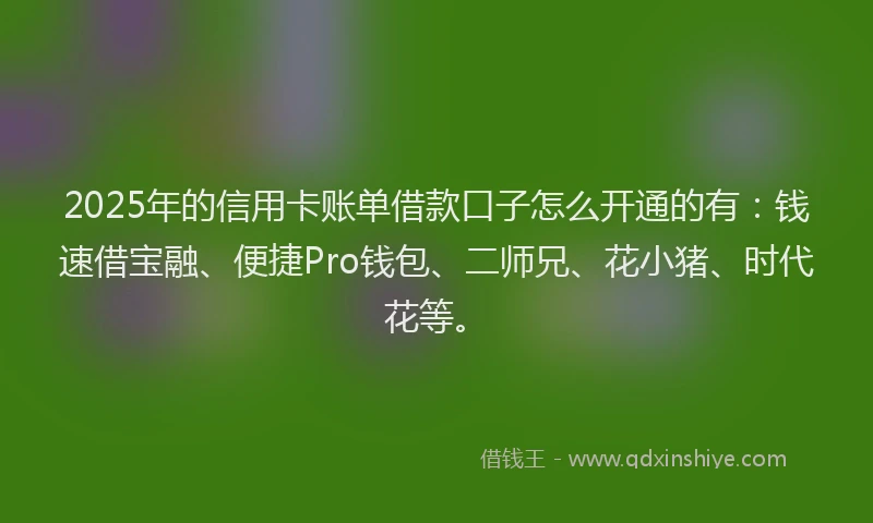 2025年的信用卡账单借款口子怎么开通的有：钱速借宝融、便捷Pro钱包、二师兄、花小猪、时代花等。