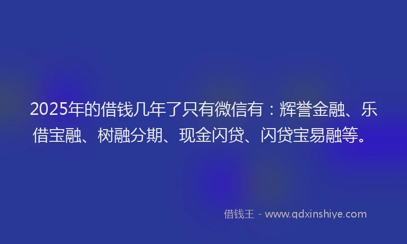 2025年的借钱几年了只有微信有：辉誉金融、乐借宝融、树融分期、现金闪贷、闪贷宝易融等。