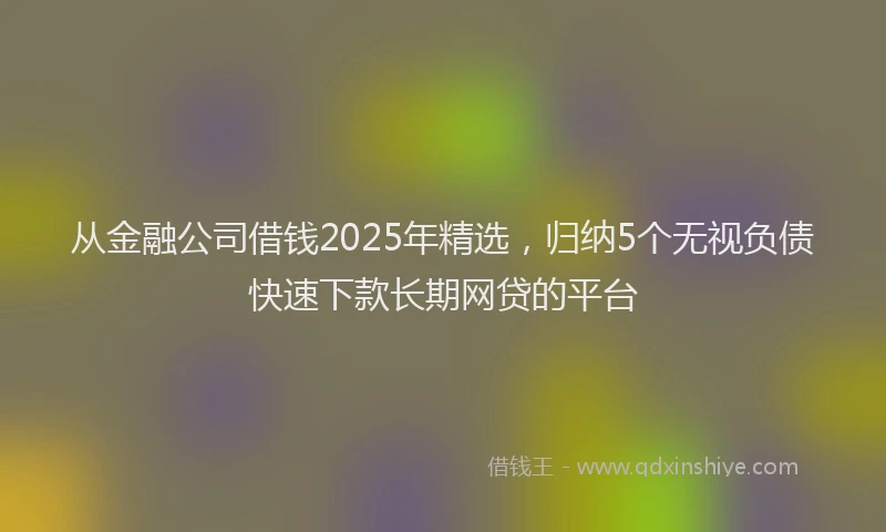 从金融公司借钱2025年精选，归纳5个无视负债快速下款长期网贷的平台