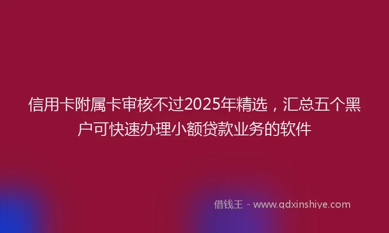 信用卡附属卡审核不过2025年精选，汇总五个黑户可快速办理小额贷款业务的软件