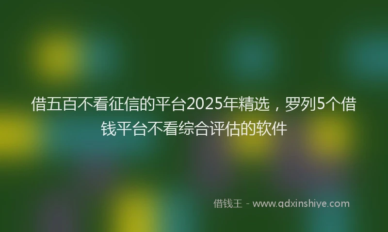 借五百不看征信的平台2025年精选，罗列5个借钱平台不看综合评估的软件