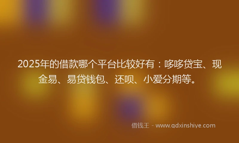 2025年的借款哪个平台比较好有：哆哆贷宝、现金易、易贷钱包、还呗、小爱分期等。