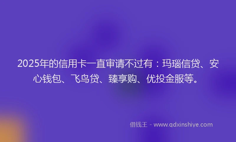 2025年的信用卡一直审请不过有：玛瑙信贷、安心钱包、飞鸟贷、臻享购、优投金服等。