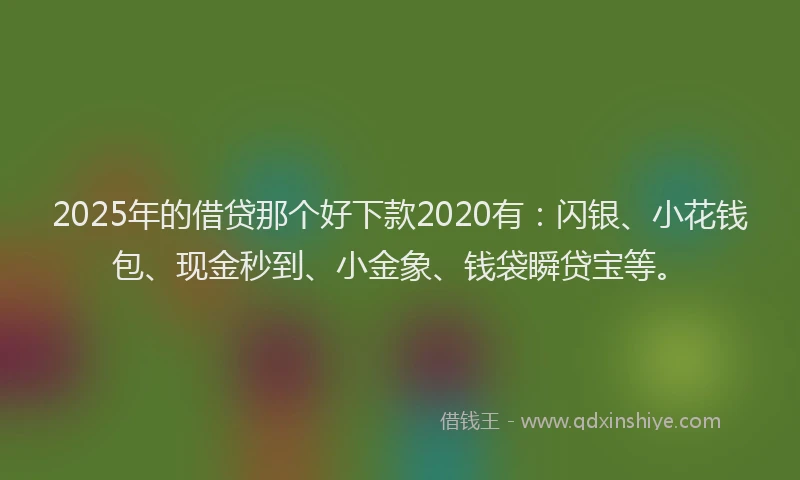 2025年的借贷那个好下款2020有：闪银、小花钱包、现金秒到、小金象、钱袋瞬贷宝等。