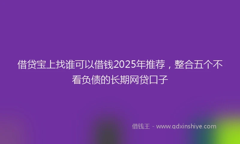 借贷宝上找谁可以借钱2025年推荐，整合五个不看负债的长期网贷口子