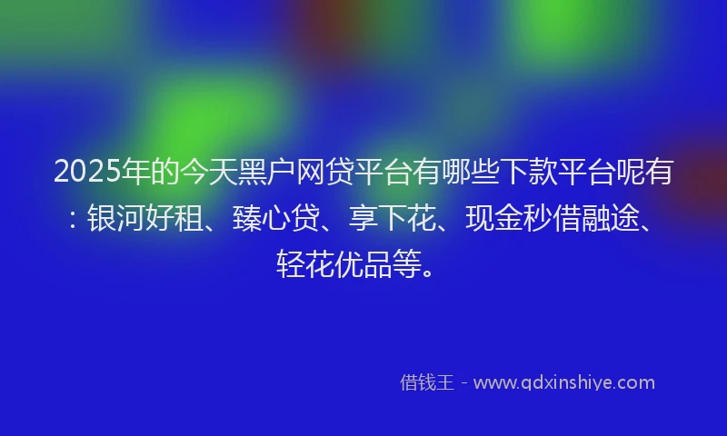 2025年的今天黑户网贷平台有哪些下款平台呢有：银河好租、臻心贷、享下花、现金秒借融途、轻花优品等。