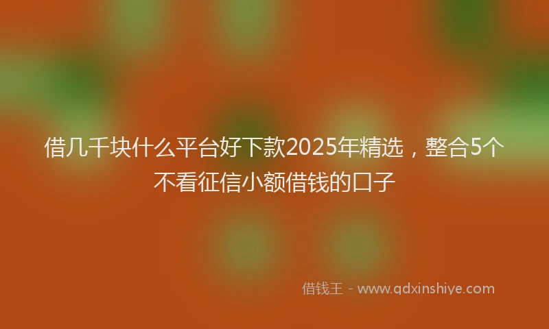 借几千块什么平台好下款2025年精选，整合5个不看征信小额借钱的口子