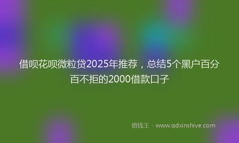 借呗花呗微粒贷2025年推荐，总结5个黑户百分百不拒的2000借款口子