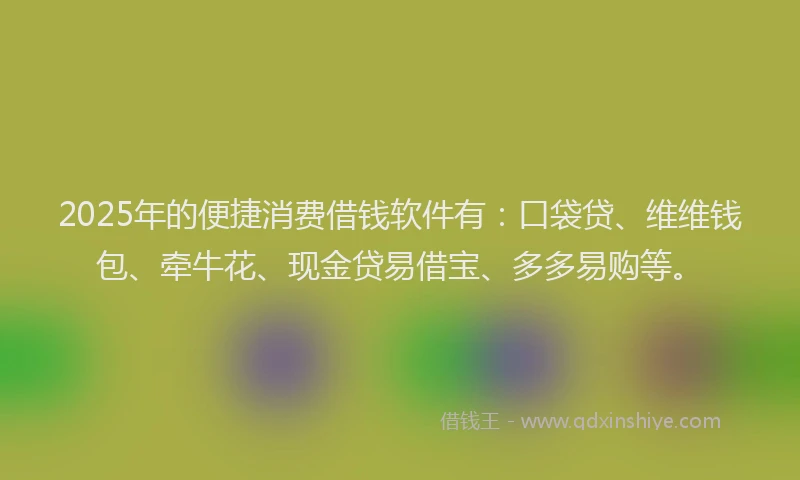 2025年的便捷消费借钱软件有：口袋贷、维维钱包、牵牛花、现金贷易借宝、多多易购等。