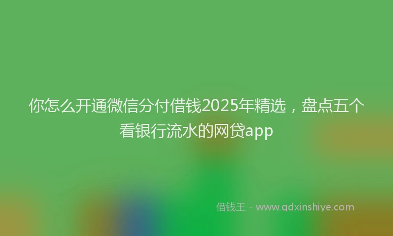 你怎么开通微信分付借钱2025年精选，盘点五个看银行流水的网贷app