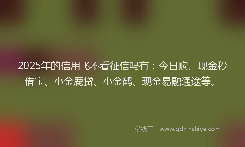 2025年的信用飞不看征信吗有：今日购、现金秒借宝、小金鹿贷、小金鹤、现金易融通途等。