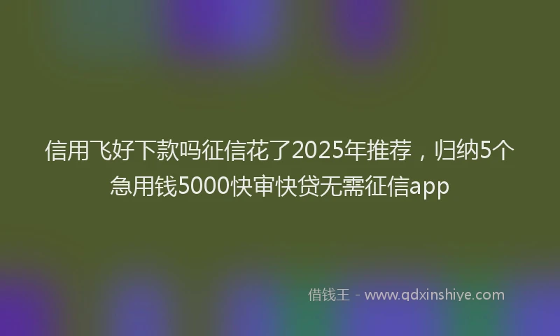 信用飞好下款吗征信花了2025年推荐，归纳5个急用钱5000快审快贷无需征信app